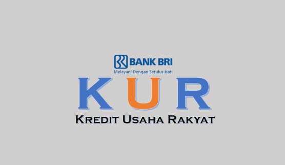 Pinjaman KUR BRI 2023 Rp20 juta bisa cair 3 hari dengan angsuran ringan