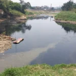 Soal Ajakan Susur Sungai Cileungsi, Bupati Bogor Klaim Sudah Turun ke Lapangan
