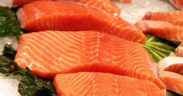 manfaat salmon