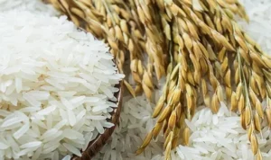 ILUSTRASI : Penyebab harga beras naik. (Freepik)