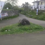 Batu Hitam Misterius di Tengah Jalan Stadion Sukabumi: Gerbang Ghaib hingga Ular Tanpa Kepala!