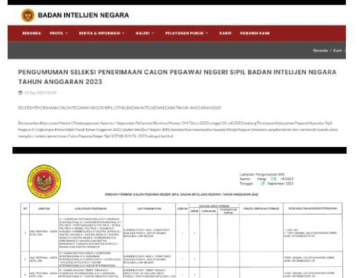 Link untuk Cek Hasil Seleksi CPNS BIN