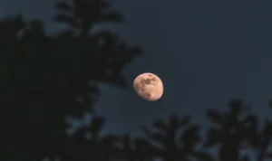 ILUSTRASI: Gerhana Bulan parsial atau sebagain bisa kamu saksikan dibeberapa wilayah di Indonesia. (freepik)