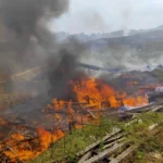 Kemarau Panjang, Kasus Kebakaran Hingga Penyusutan Sumber Mata Air Terjadi di Lembang, KBB pada Minggu, 1 Oktober 2023. (Dok. Istimewa)