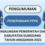 Cek Link Pengumuman Hasil Seleksi Administrasi PPPK di Kabupaten Sumedang 2023/ Instagram @bkpsdmsumedang