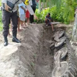 Warga Sarmi Papua temukan tank bekas Perang Dunia II saat menggali selokan pada Senin 9 Oktober 2023.