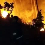 Warga Gotong Royong Padamkan Api yang Membakar Sebagian Lahan Gunung Manglayang. Foto Istimewa