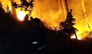 Warga Gotong Royong Padamkan Api yang Membakar Sebagian Lahan Gunung Manglayang. Foto Istimewa
