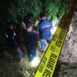 Jajaran anggota Polresta Bandung tengah melakukan olah TKP temuan jenazah perempuan di wilayah Desa Babakan Peuteuy, Kecamatan Cicalengka, Kabupaten Bandung.