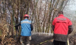 Kebakaran Lahan Diduga Akibat Pembakaran Sampah Terjadi di Cimahi Selatan
