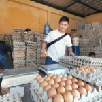 Inflasi Harga Bapokting di Kabupaten Sumedang Dipastikan Terkendali