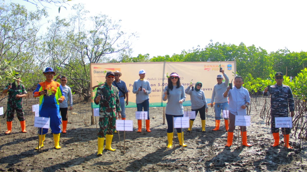 Wujud Nyata Komitmen Terhadap Bisnis Berkelanjutan dan Pelestarian Lingkungan, Danamon Peduli Tanam Lima Ribu Pohon Mangrove di Pangandaran