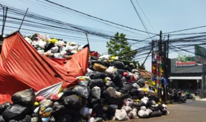 Ada Kendala Tangani Masalah Sampah, Forum RW: Butuh Bantuan Pemerintah
