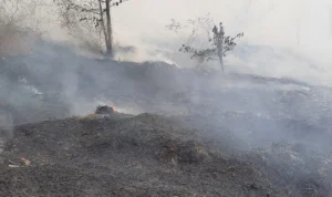 Penampakan TPA Cikundul di Kota Sukabumi yang terbakar pada Minggu, 22 Oktober 2023 pukul 13.00 WIB.