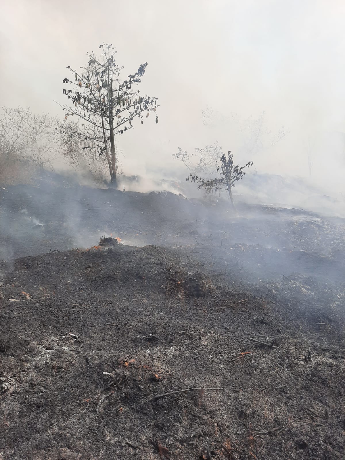 Penampakan TPA Cikundul di Kota Sukabumi yang terbakar pada Minggu, 22 Oktober 2023 pukul 13.00 WIB.