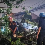 Sejumlah petugas BPBD Kota Bogor saat melakukan pemotongan batang pohon yang tumbang di Jalan Raya Tajur, Selasa (24/10) sore. (Yudha Prananda / Jabar Ekspres)