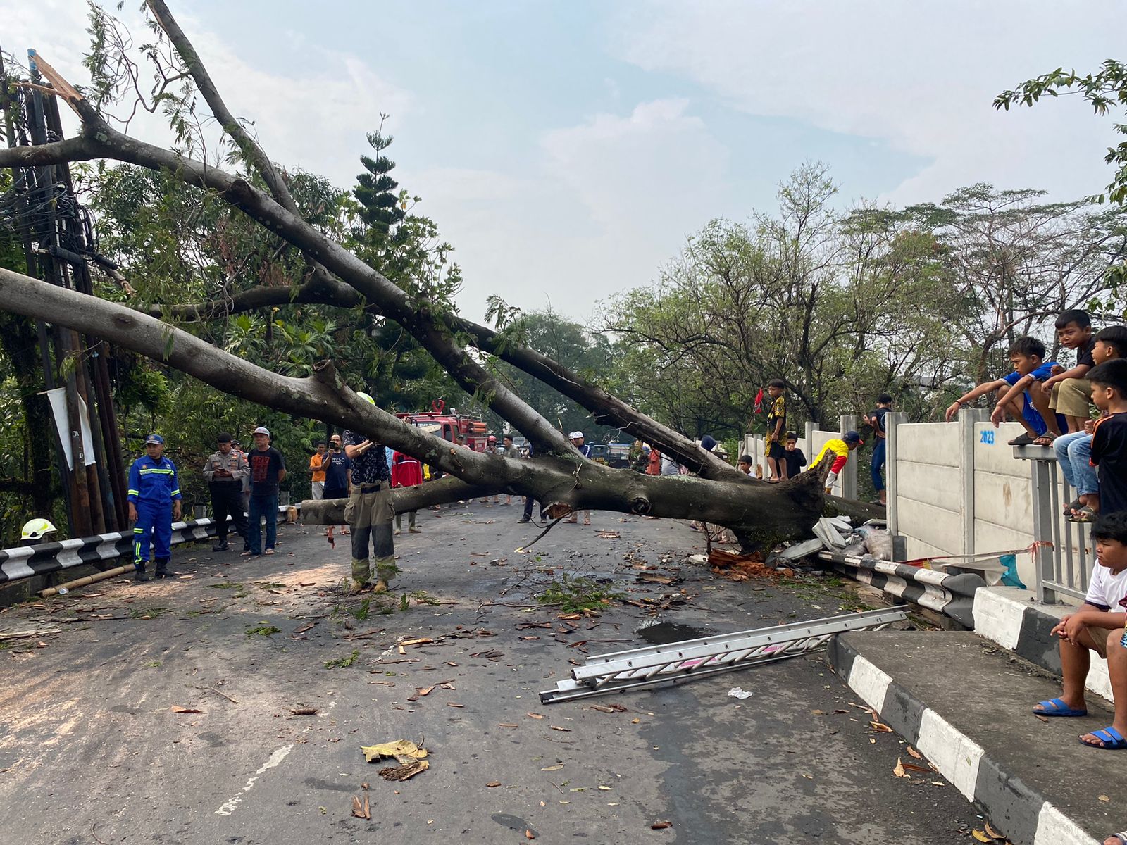 Pohon tumbang di kawasan Jembatan Cinta, Kelurahan Cigondewah Rahayu, Kecamatan Bandung Kulon, Kota Bandung, pada Rabu (25/10) kemarin.