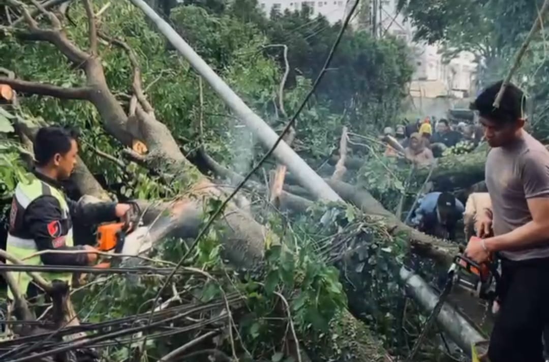 Evakuasi pohon tumbang akibat hujan deras disertai angin kencang di sejumlah wilayah Kota Cimahi.