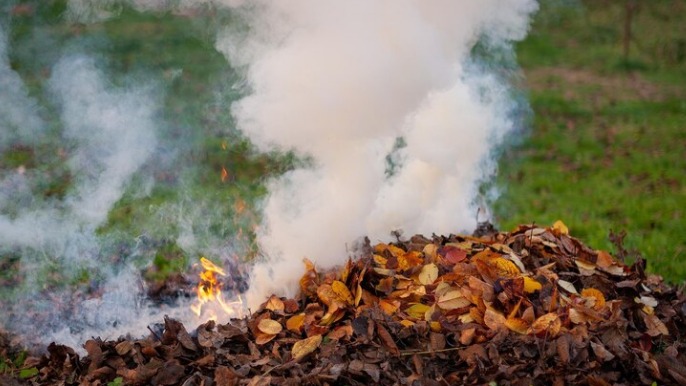 Satpol PP Larang Masyarakat Depok Bakar Sampah Sembarangan