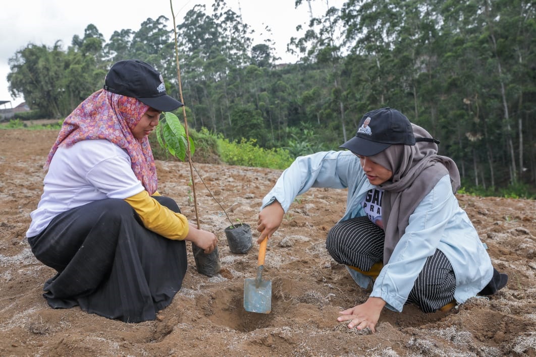 Sukarelawan Ganjar Pranowo yang tergabung dalam Pandawa Ganjar menggelar kegiatan penanaman puluhan pohon kayu putih untuk mencegah tanah longsor, di Kampung Kiara Sinar Wangi, Desa Pulosari, Kecamatan Pangalengan, Kabupaten Bandung, Minggu 15 Oktober 2023.