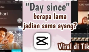 Tren Viral 'Day Since' di TikTok