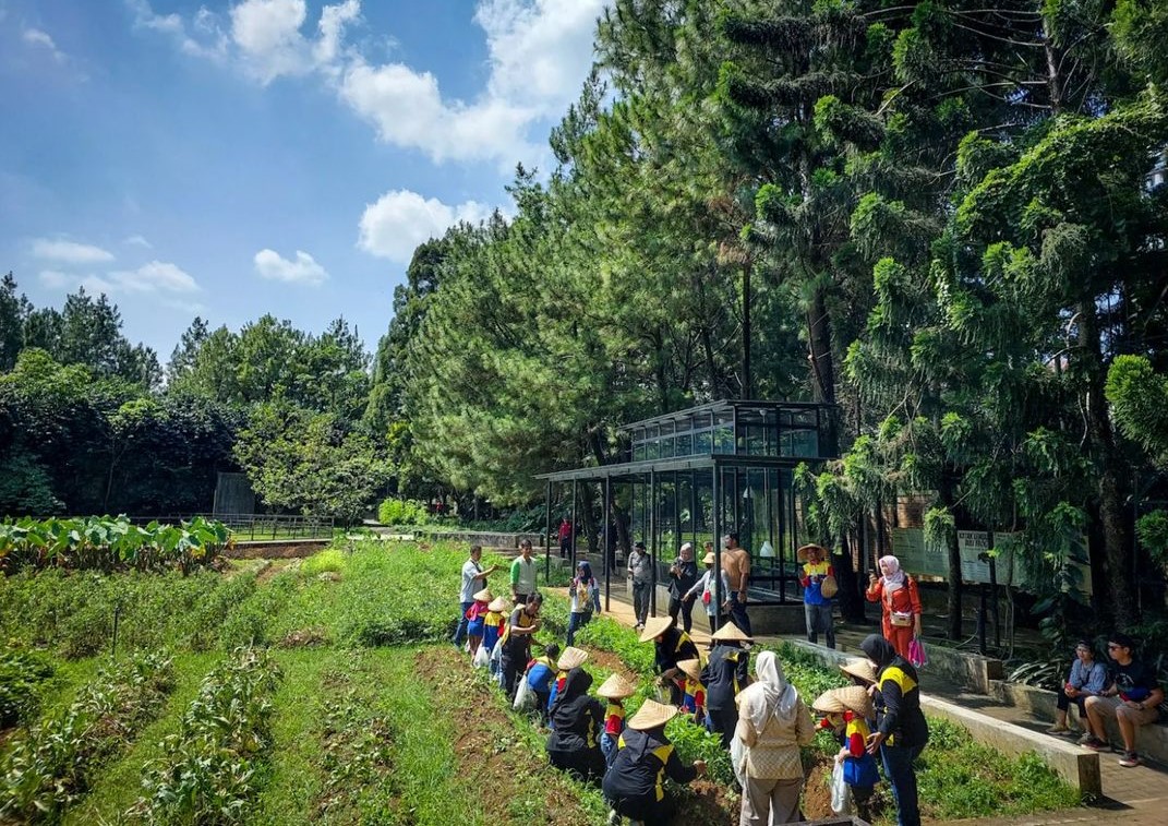 Liburan ke Bogor, Jangan Lupa Kunjungi 5 Tempat Wisata Ini!
