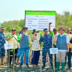 World Habitat Day, Pegadaian dan Warga Cirebon Tanam 10.000 Pohon Mangrove, Benteng Alami dari Erosi