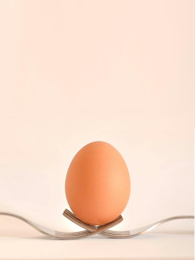 Hari Telur Sedunia, Kegunaan dan Kepentingan Telur dalam Kehidupan