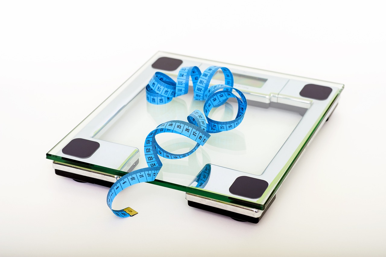 Ilustrasi Syarat BMI CPNS Kejaksaan 2023, Berikut Ketentuan yang Dapat Diketahui Pelamar/ Pixabay/ Vidmir Raic