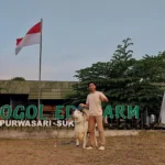 Kisah Pemuda Sukabumi Dari Anak Kandang Jadi Pengusaha Ternak Domba!