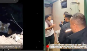 Viral Video Hoax Beredar Harimau Kabur di Bandung, Alshad Ahmad Terkena Imbas hingga Didatangi Polisi/ Kolase TikTok @alshad95
