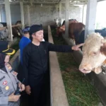 Wakil Wali Kota Bogor, Dedie A. Rachim saat meninjau lokasi kandang sapi kelompok tani di Kelurahan Mekarwangi, Kecamatan Tanah Sareal, Kamis (16/11). (Yudha Prananda / Jabar Ekspres)