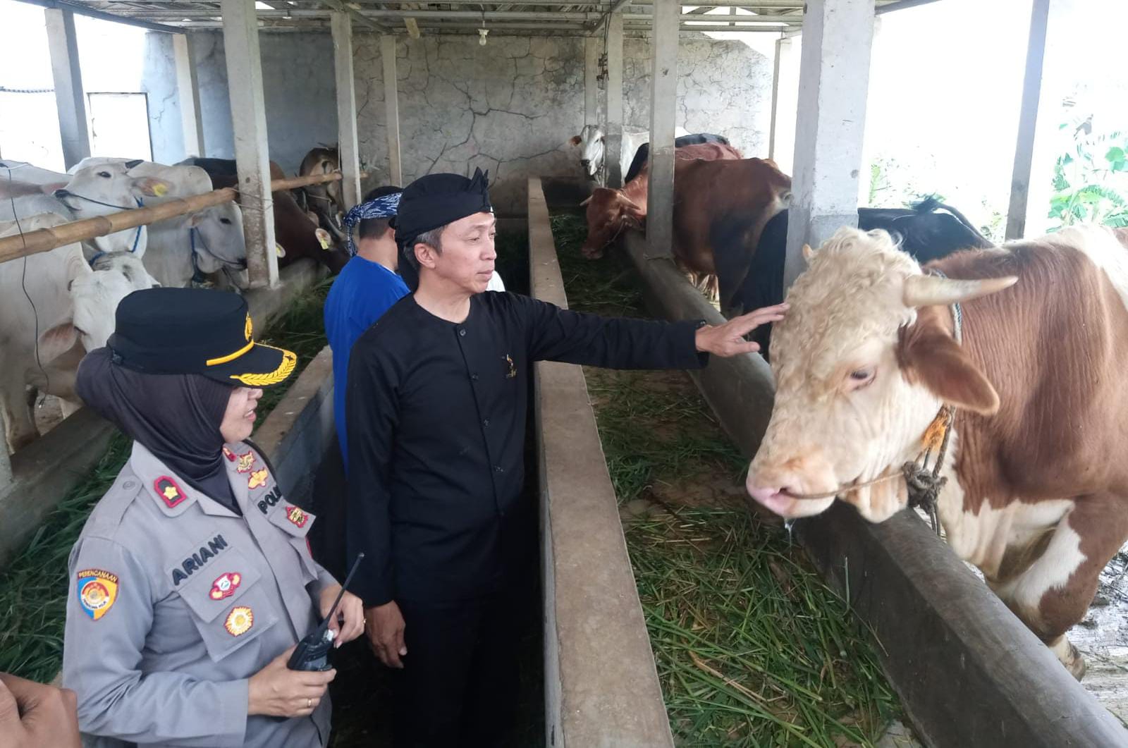 Wakil Wali Kota Bogor, Dedie A. Rachim saat meninjau lokasi kandang sapi kelompok tani di Kelurahan Mekarwangi, Kecamatan Tanah Sareal, Kamis (16/11). (Yudha Prananda / Jabar Ekspres)