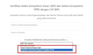 Cara Download Sertifikat PPPK 2023 Seleksi Kompetensi/ Tangkap Layar sertificat.bkn.go.id