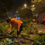 BPBD Kabupaten Bandung tengah mengevakuasi pohon tumbang serta melakukan pendataan rumah rusak akibat diterjang angin puting beliung. (Istimewa)