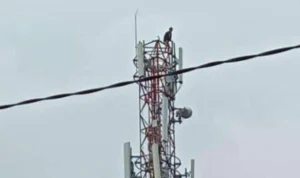 Depresi Karena Dikeluarkan dari Pekerjaan, Pemuda di Kabupaten Bandung Lompat dari Tower
