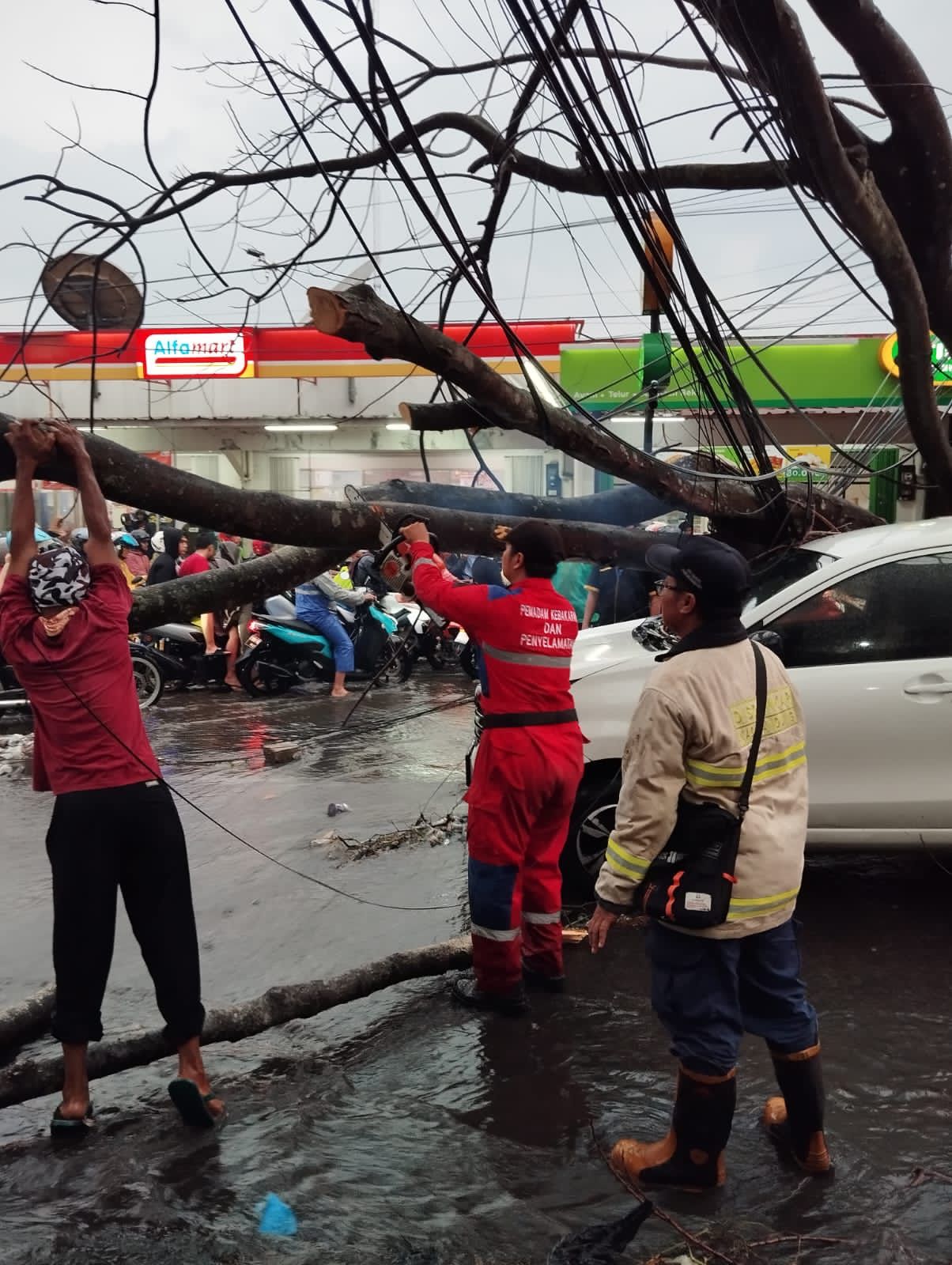 Pohon tiban satu mobil yang sedang melaju di Bandung akibat hujan deras dan angin kencang (14/11).