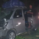 Mobil travel Luxio ringsek tertimpa pohon tumbang di wilayah Karangkamulyan Kabupaten Ciamis Jawa Barat. (istimewa)