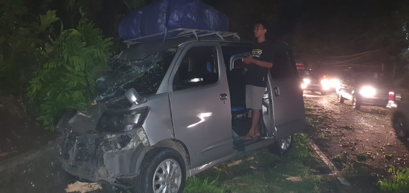 Mobil travel Luxio ringsek tertimpa pohon tumbang di wilayah Karangkamulyan Kabupaten Ciamis Jawa Barat. (istimewa)