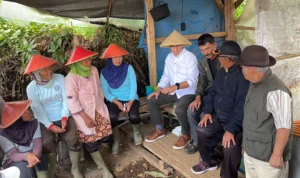 Kunjungi Pangalengan, Anies Baswedan Telaah Keluh Kesah Petani