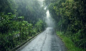 Prediksi Cuaca Puncak Bogor Hujan, BMKG Citeko Minta Wisatawan untuk Perhatikan Hal Ini