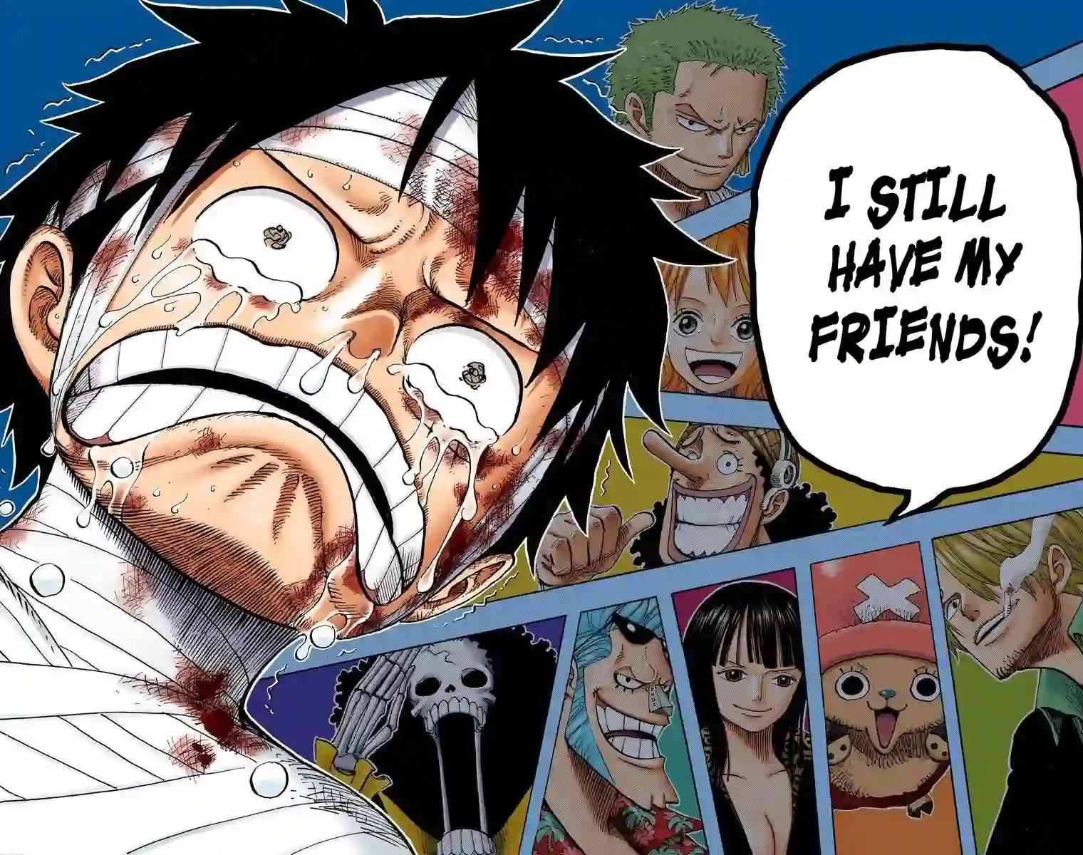 Bukan Hanya Zoro! Ternyata Inilah Kawan Paling Setia Luffy dalam Sepanjang Kisah One Piece