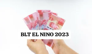 BLT EL Nino