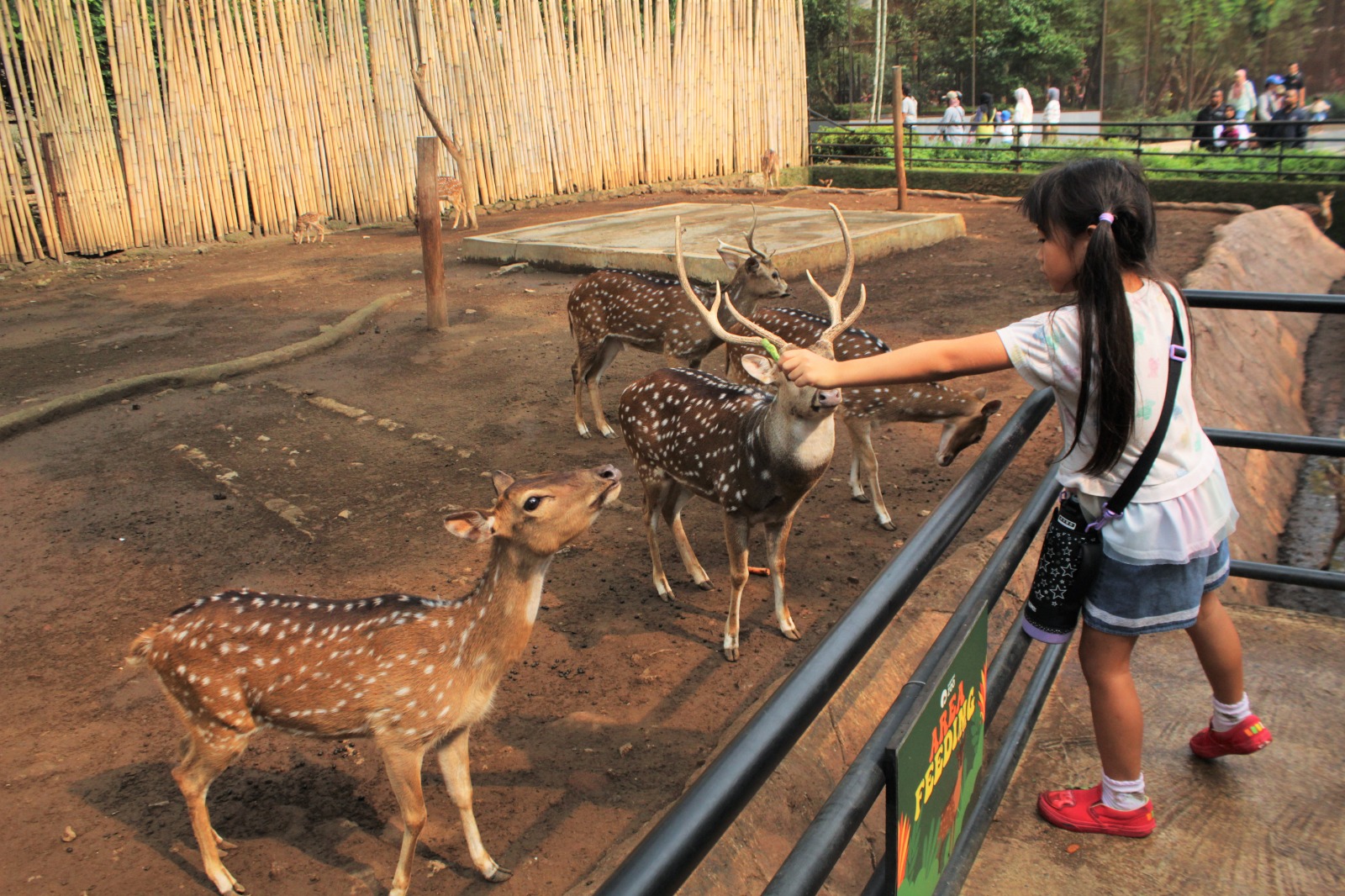 Sejumlah pengunjung sedang asyik berinteraksi dengan satwa di Kebun Binatang Bandung : Hendrik Muchlison