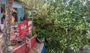 3 Kecamatan di KBB Dilanda Bencana dalam Sehari, Longsor hingga Pohon Tumbang