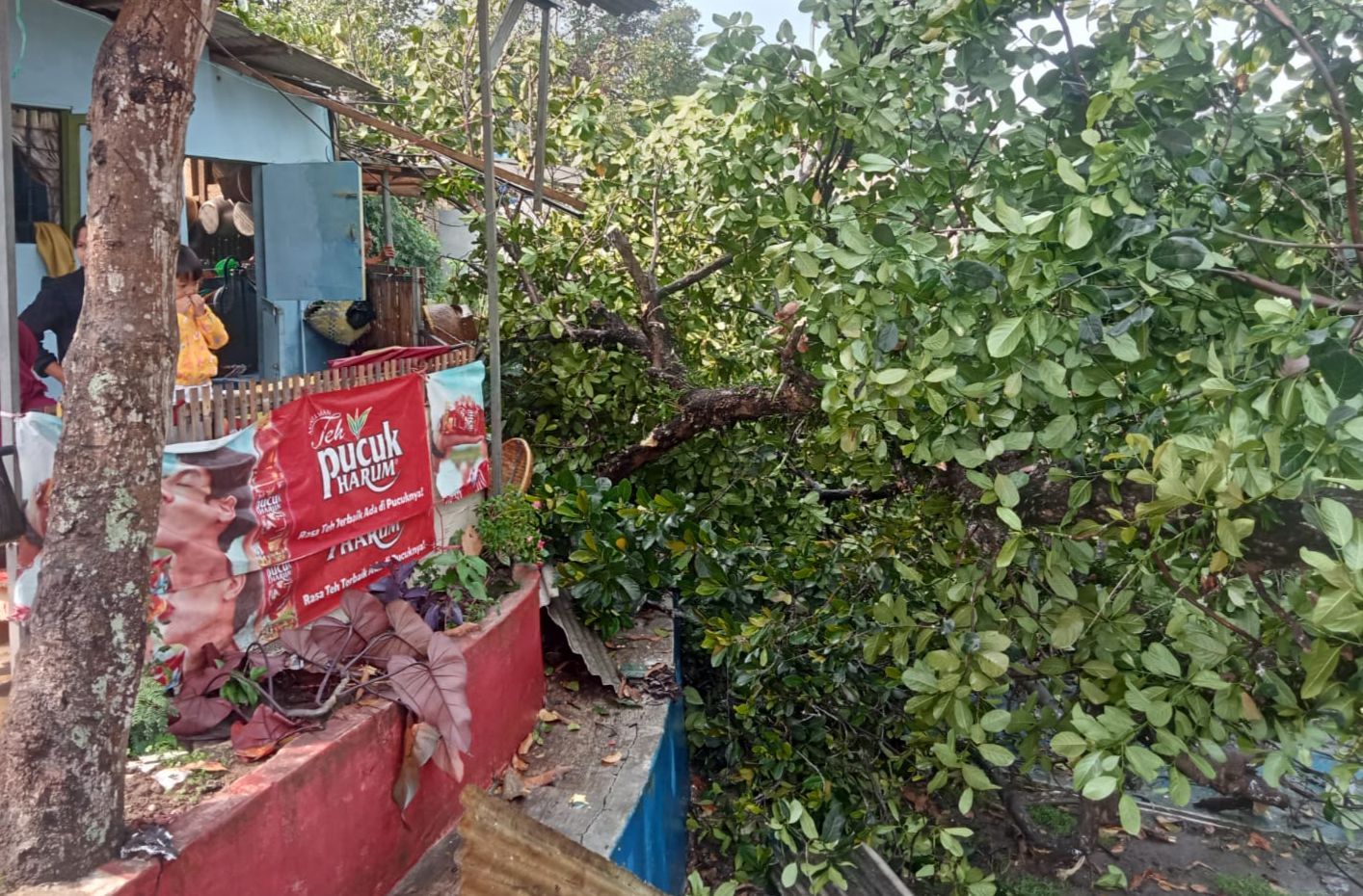3 Kecamatan di KBB Dilanda Bencana dalam Sehari, Longsor hingga Pohon Tumbang