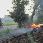 Sorot Warga Bandung yang Bakar Sampah, Sekda: Gak Boleh Pembakaran