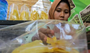 Pemkot Dorong UMKM di Kota Bogor Ikuti Program Sehati, Ini Manfaat dan Persyaratannya!