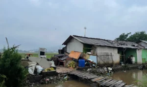 Diterjang Hujan Deras dan Angin Kencang, Puluhan Rumah di Desa Bojongmalaka Rusak