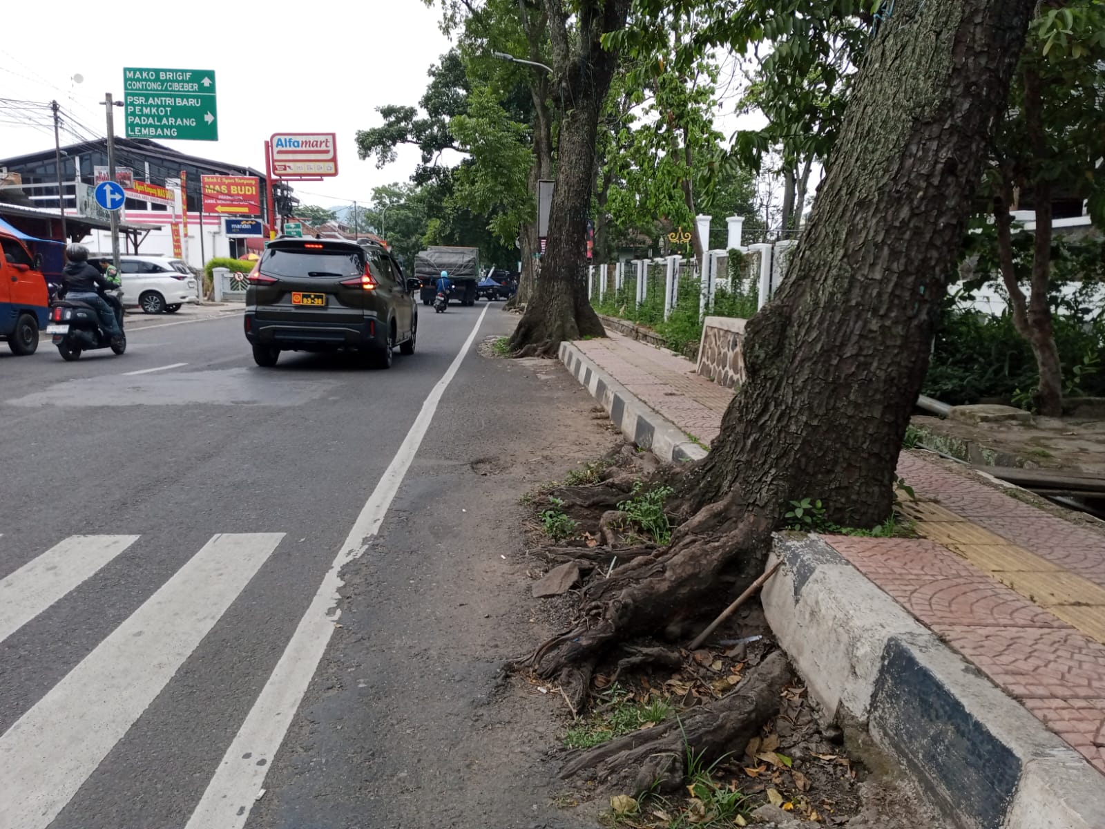 Trotoar di Jalan Jenderal Sudirman Cimahi Rusak Akibat Akar Pohon